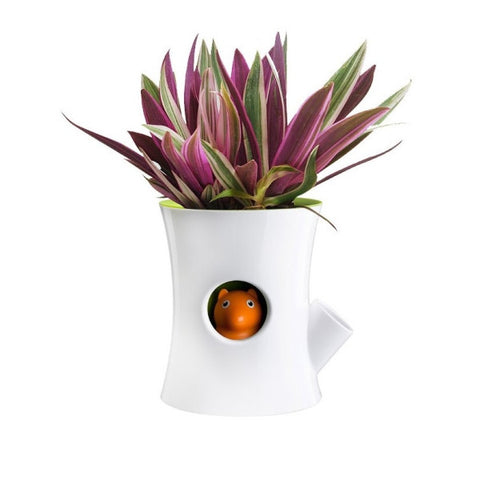 QUALY Log & Squirrel Flowerpot